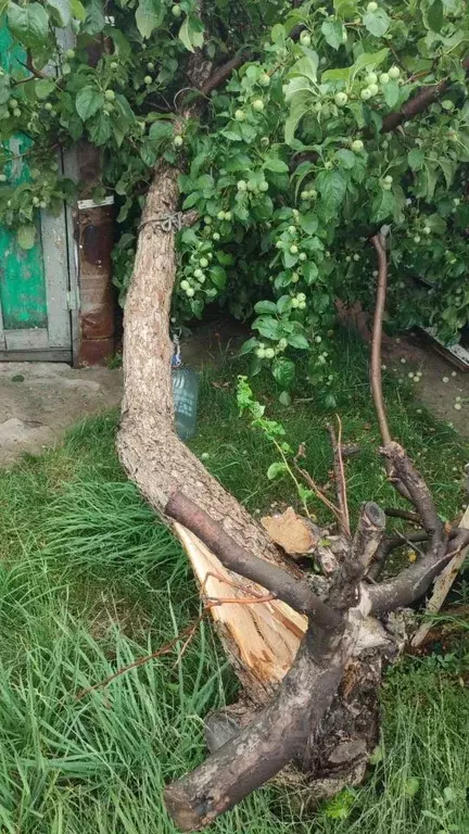 Комната Омская область, Омск Чередовый мкр, ул. 5-я Чередовая, 10 ... - Фото 0