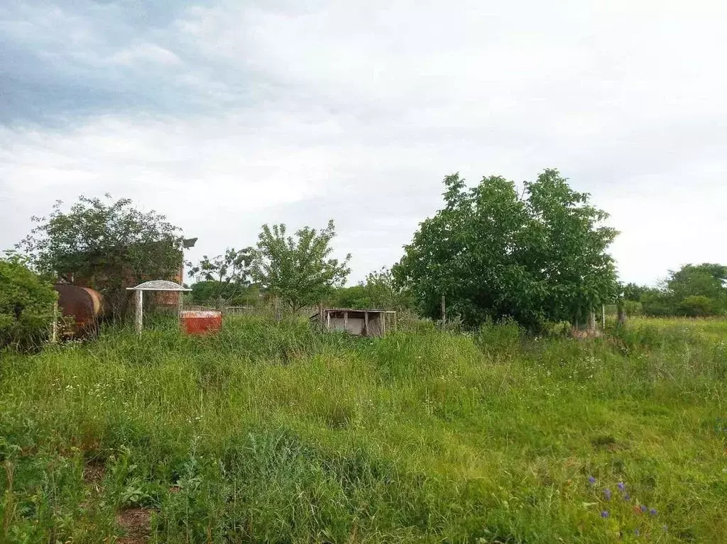 Участок в Белгородская область, Белгородский район, Беломестненское ... - Фото 1