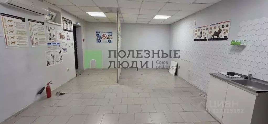 Помещение свободного назначения в Краснодарский край, Геленджик ул. ... - Фото 2