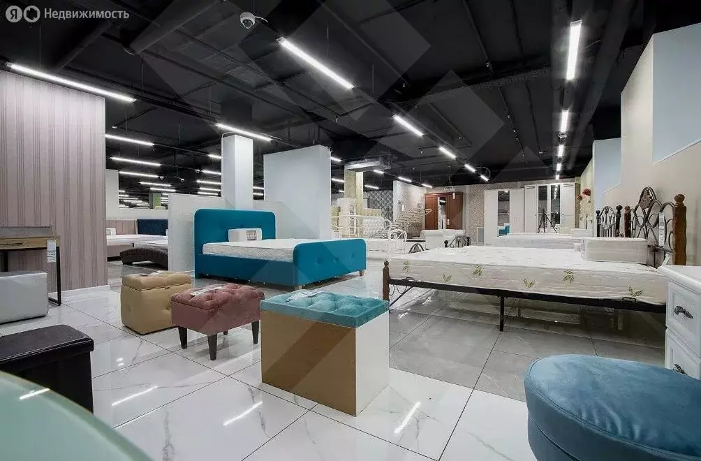 Помещение свободного назначения (743 м) - Фото 2