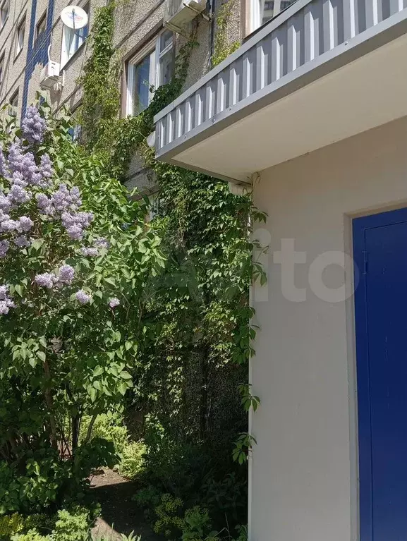 3-к. квартира, 67 м, 5/5 эт. - Фото 1