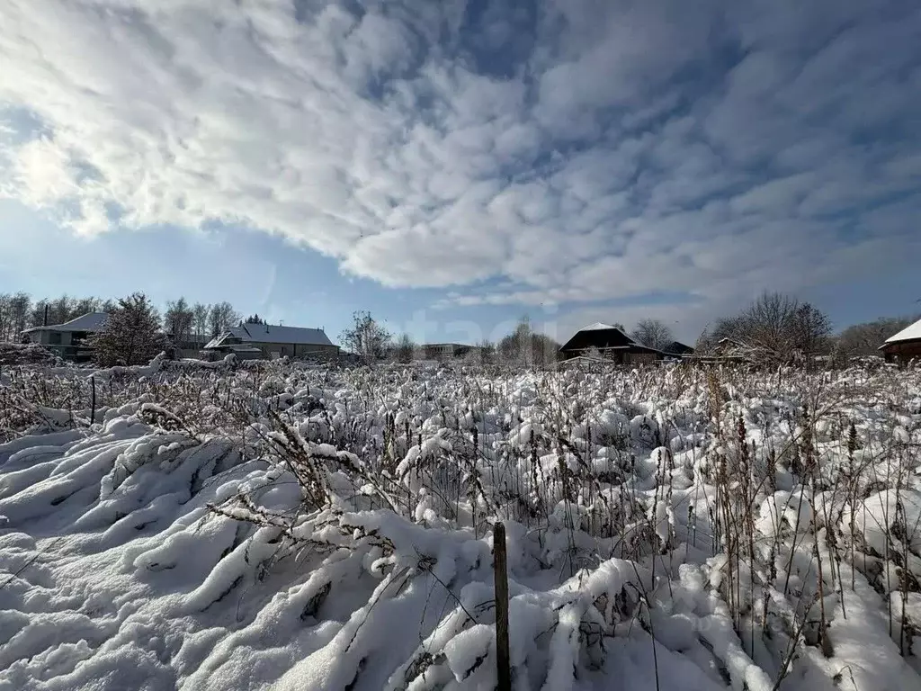 Участок в Алтайский край, Бийский район, с. Малоенисейское Набережная ... - Фото 1