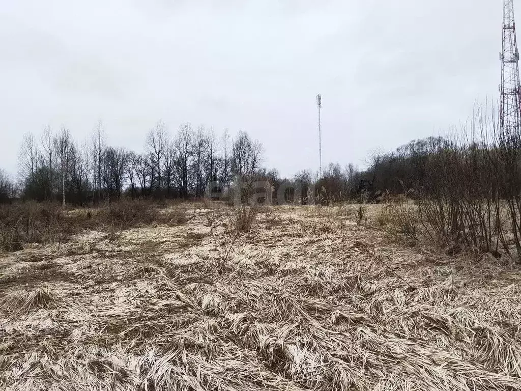 Участок в Московская область, Талдомский городской округ, д. Кунилово  ... - Фото 2