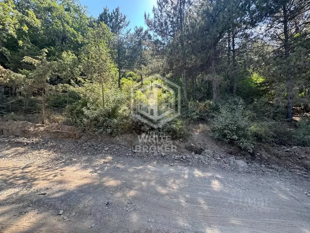 Участок в Крым, Ялта ул. Дарсановская (6.0 сот.) - Фото 2