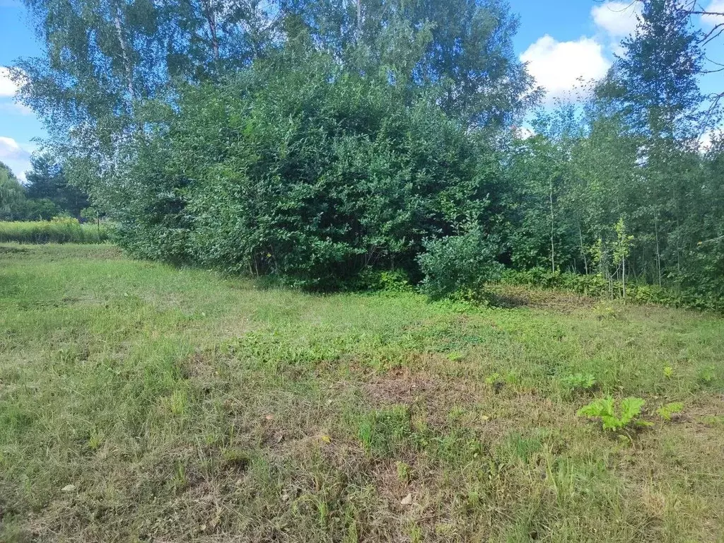 Участок в Московская область, Лотошино муниципальный округ, д. ... - Фото 1