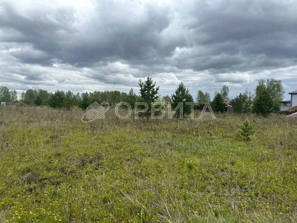 Участок в Тюменская область, Тюменский район, Новокаменский кп ул. ... - Фото 1