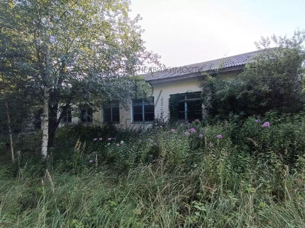 Помещение свободного назначения в Калининградская область, Правдинский ... - Фото 2