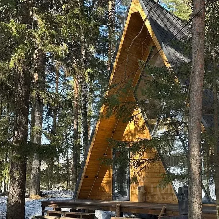 Комната Нижегородская область, Выкса Ризадеевская ул., 101 - Фото 2