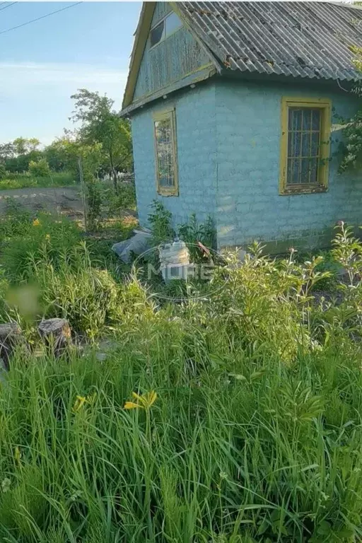 Участок в Калининградская область, Калининград Рассвет СНТ,  (6.0 ... - Фото 0