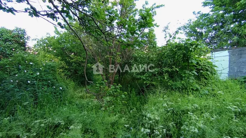 Участок в Новороссийск, Красноармейская улица (4.6 м) - Фото 1