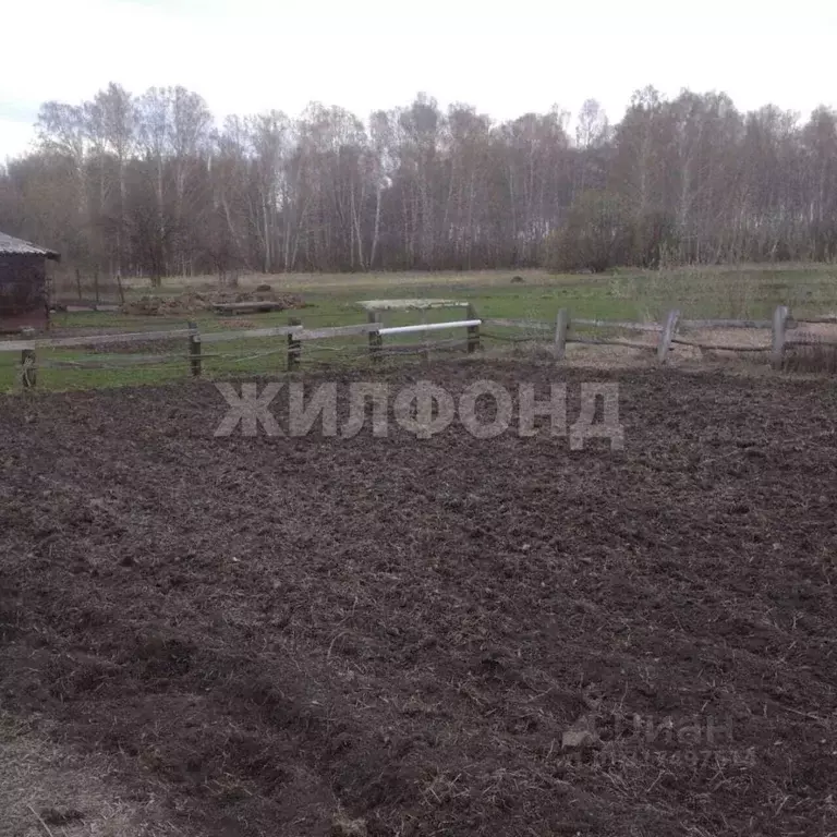 Участок в Новосибирская область, Коченевский район, Лесная Поляна ст. ... - Фото 0