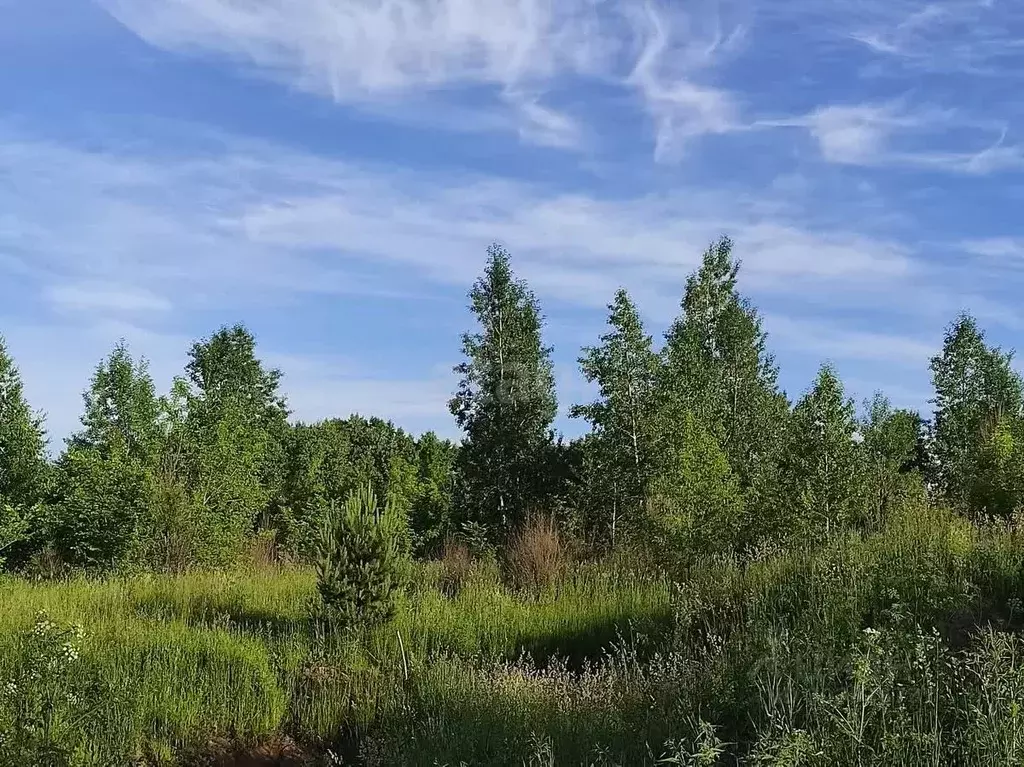 Участок в Кемеровская область, Новокузнецкий муниципальный округ, с. ... - Фото 1