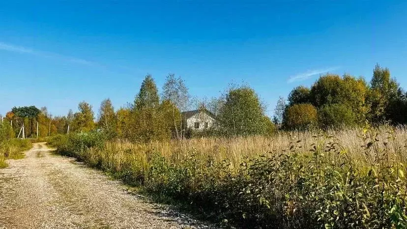 Участок, 10 сот., поселения (ижс) - Фото 0