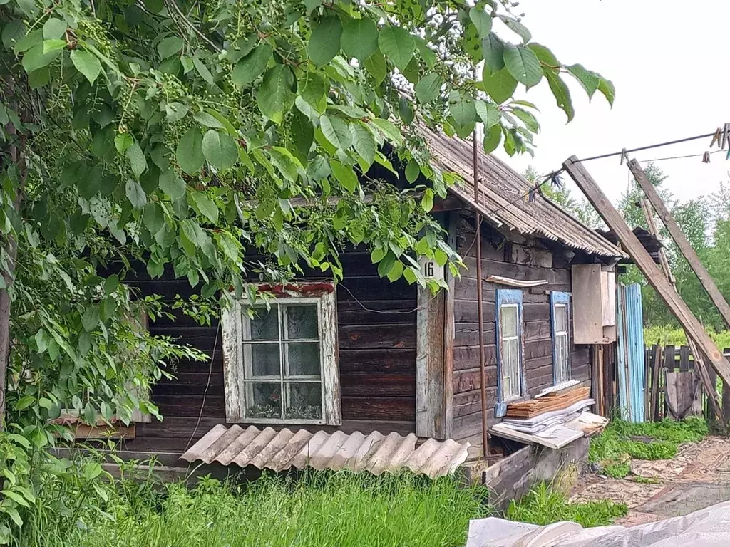 Дом в Амурская область, Сковородино Ключевая ул., 16 (24 м) - Фото 0