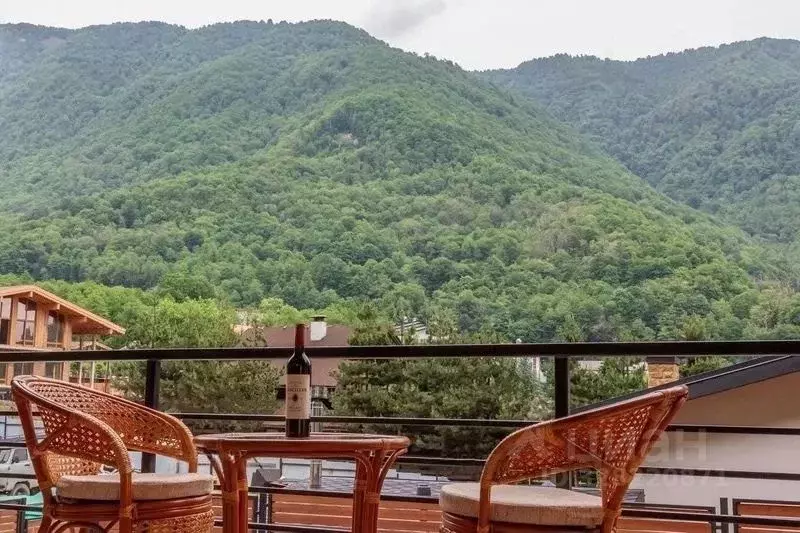 Дом в Краснодарский край, Сочи Береговая ул., 17 (330 м) - Фото 2