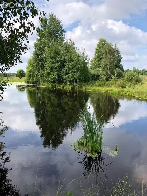 Участок в Смоленский район, Хохловское сельское поселение, деревня ... - Фото 0