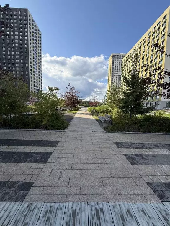 3-к кв. Тюменская область, Тюмень Полевая ул., 117к4 (80.6 м) - Фото 2
