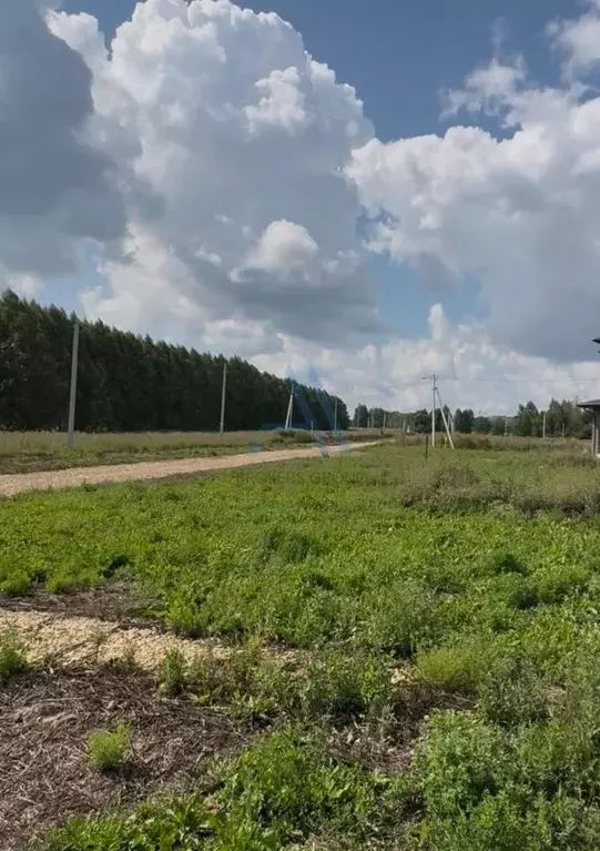 Участок в Татарстан, Высокогорский район, с. Альдермыш  (10.0 сот.) - Фото 2