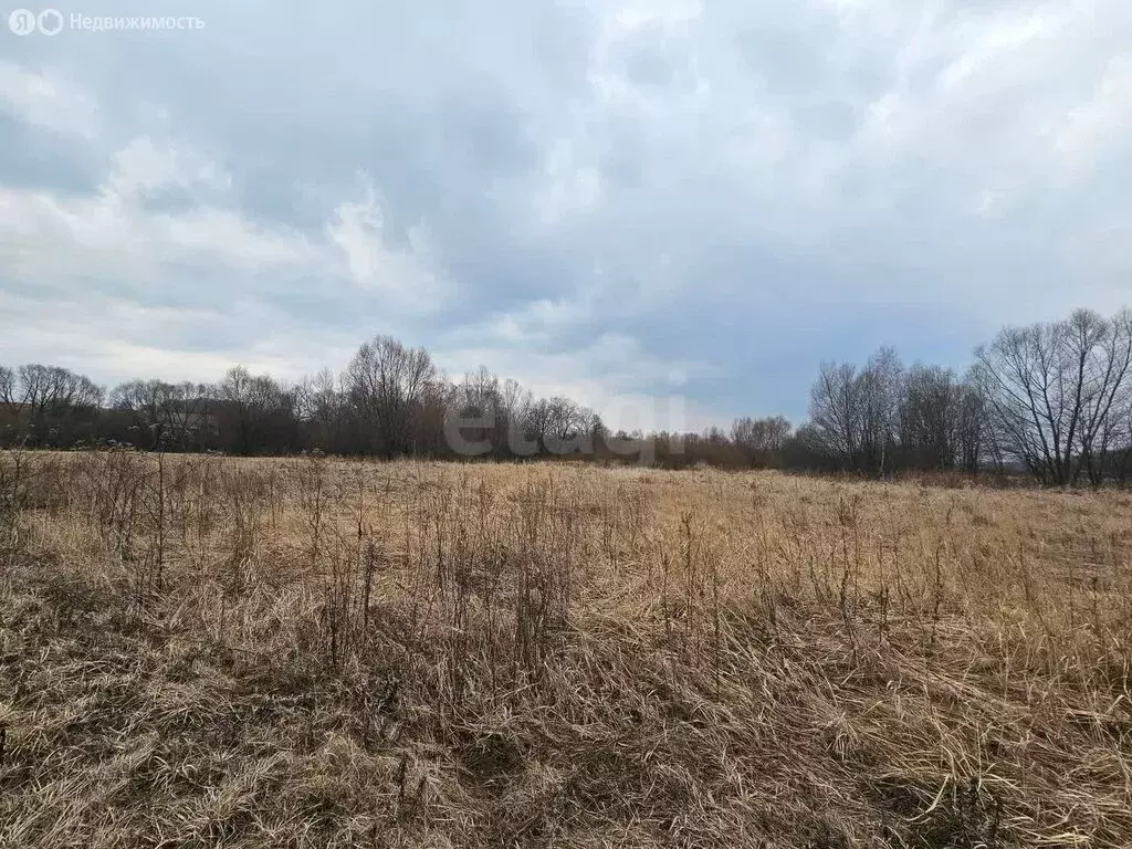 Участок в Московская область, городской округ Коломна, село Фроловское ... - Фото 1