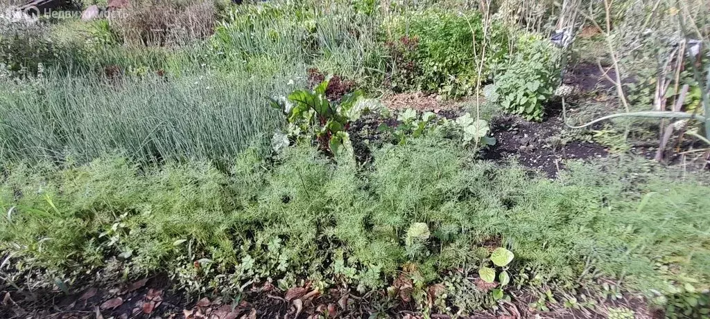 Участок в Нижнекаянча, Центральная улица, 54 (1900 м) - Фото 1