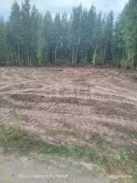 Участок в Ханты-Мансийский АО, Ханты-Мансийск Кузя СОТ,  (10.0 сот.) - Фото 1