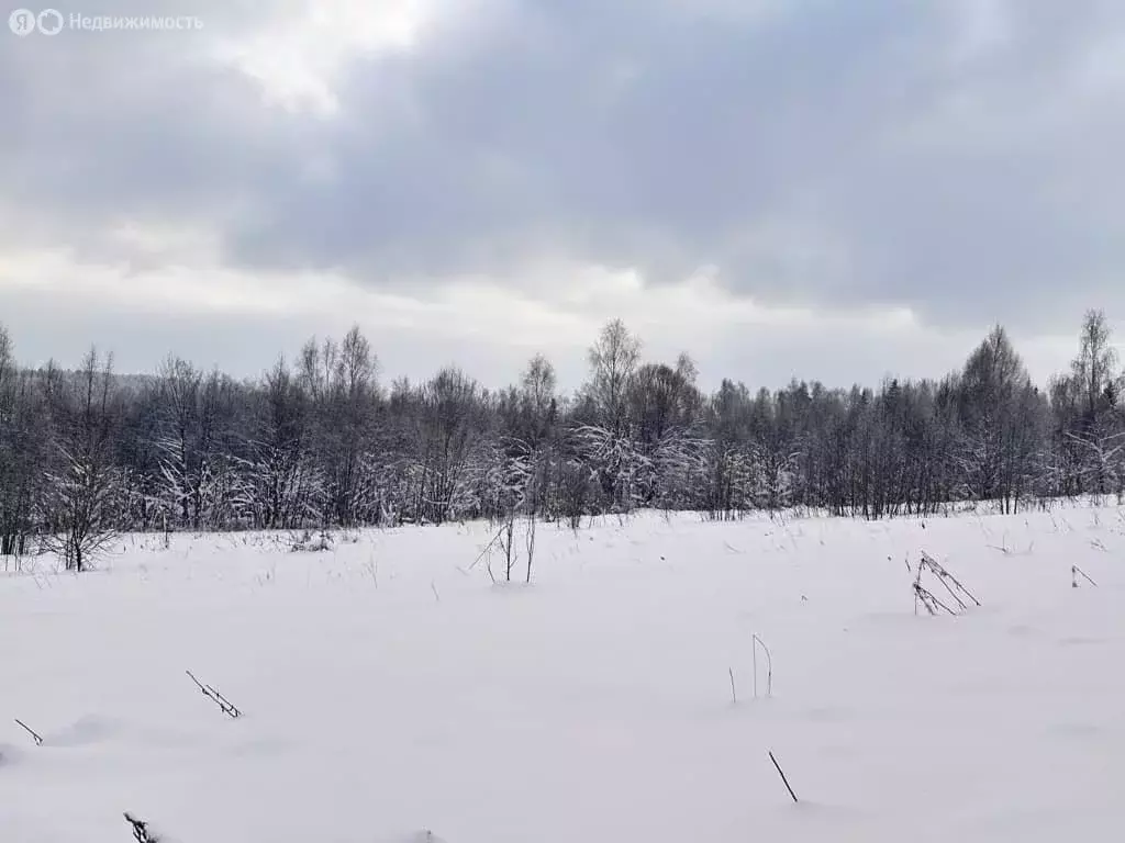 Участок в Московская область, Дмитровский муниципальный округ, деревня ... - Фото 1