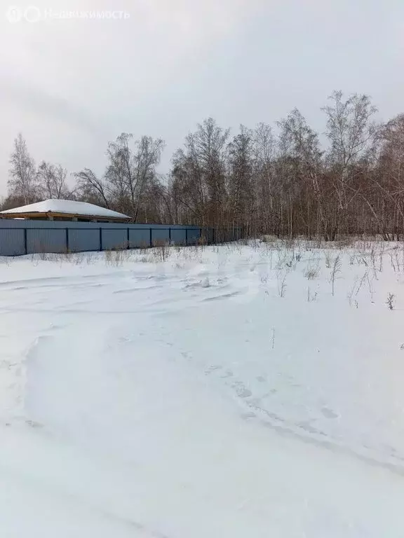 Участок в Красноярский край, Емельяновский муниципальный округ, ... - Фото 2