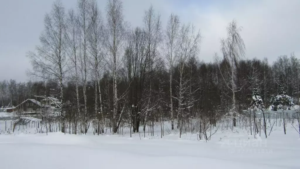 Участок в Московская область, Рузский муниципальный округ, д. ... - Фото 1