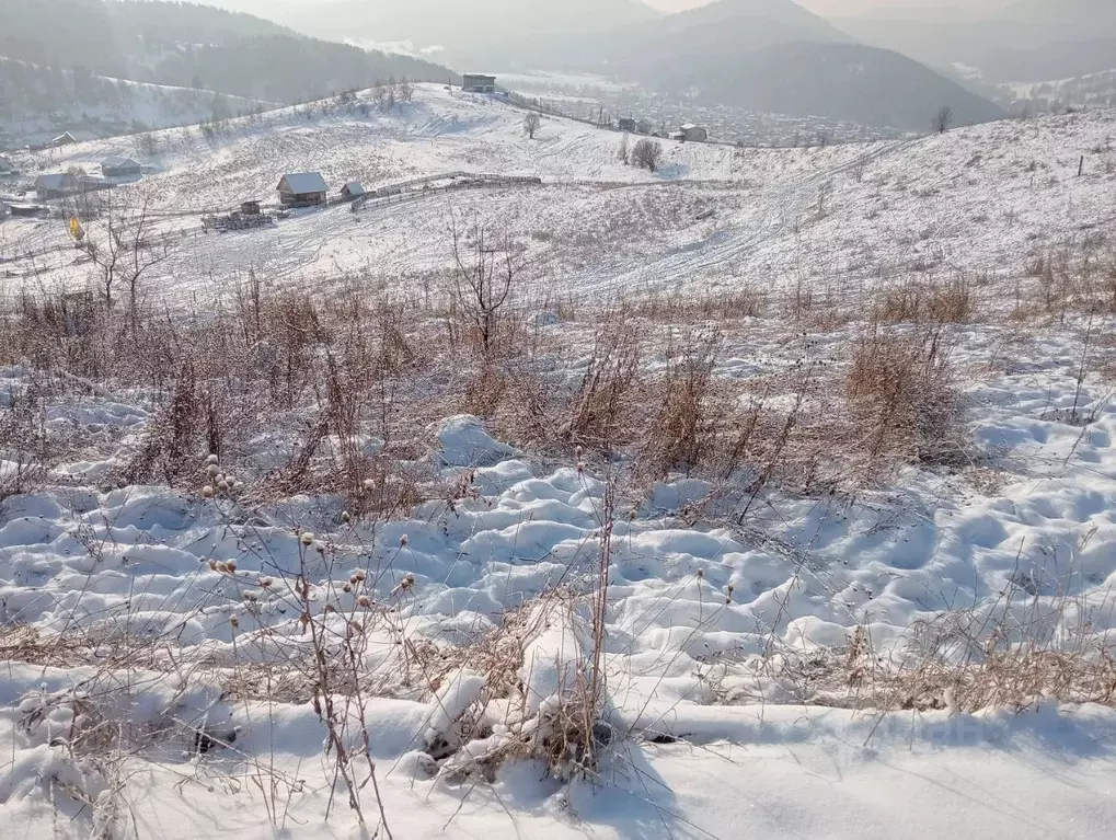 Участок в Алтай, Майминский район, с. Кызыл-Озек  (10.0 сот.) - Фото 1