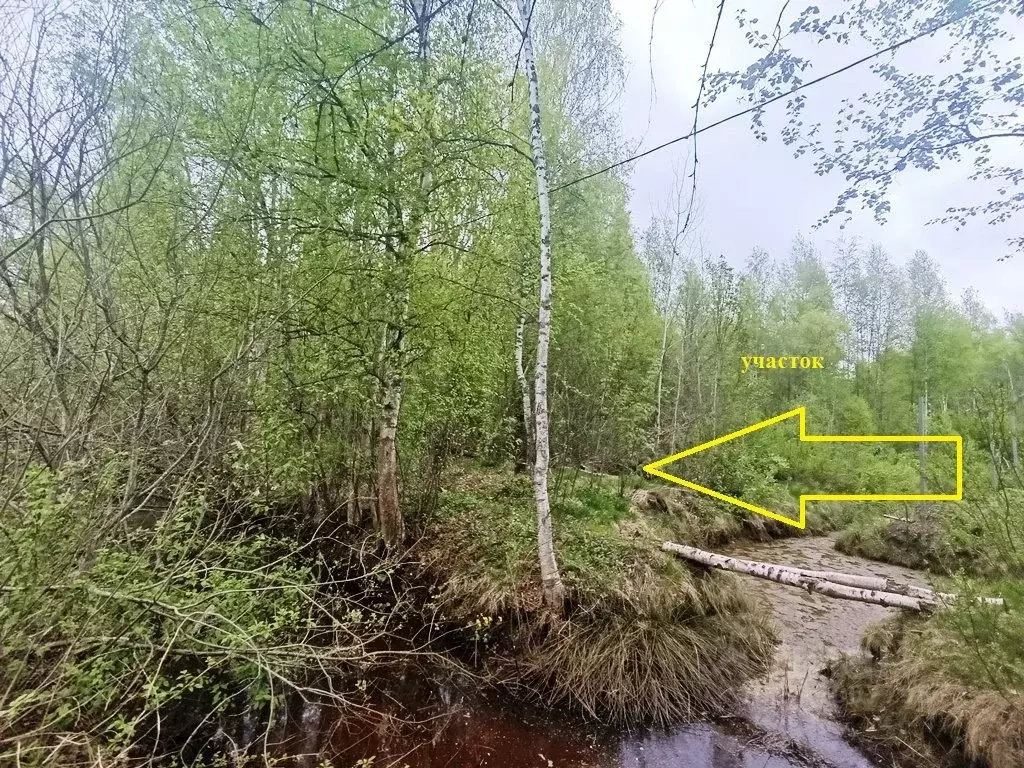 Участок в Ленинградская область, Новая Ладога Волховский район, ... - Фото 1