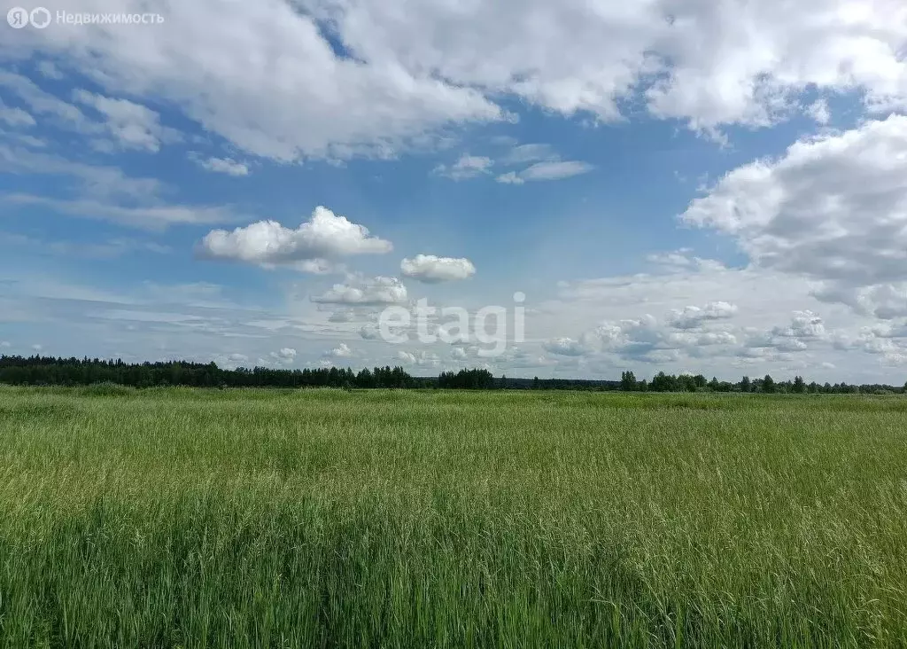 Участок в Пермский муниципальный округ, деревня Качка (13.3 м) - Фото 0