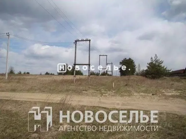 Участок в Рязанская область, Рязанский район, Дубровическое с/пос, с. ... - Фото 1