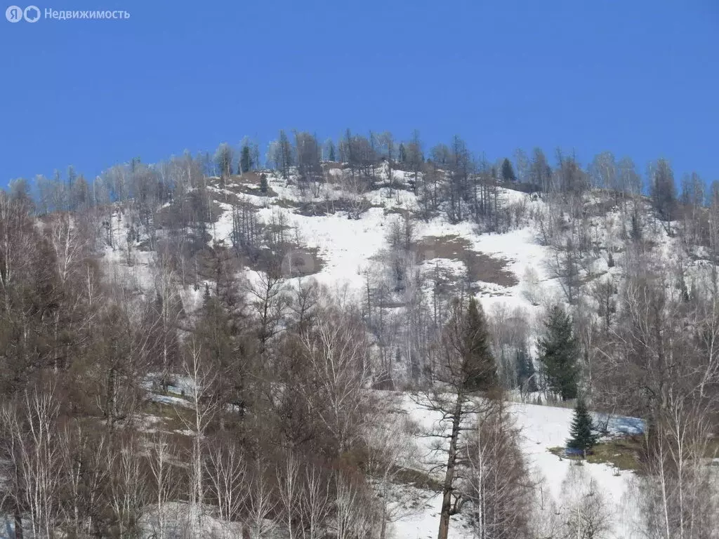 Участок в село Александровка, Ак-кырланская улица (15 м) - Фото 2