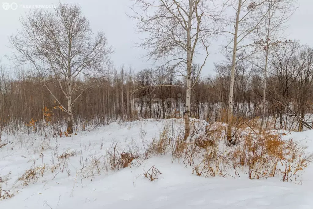 Участок в Хабаровский район, село Краснореченское (16.8 м) - Фото 0