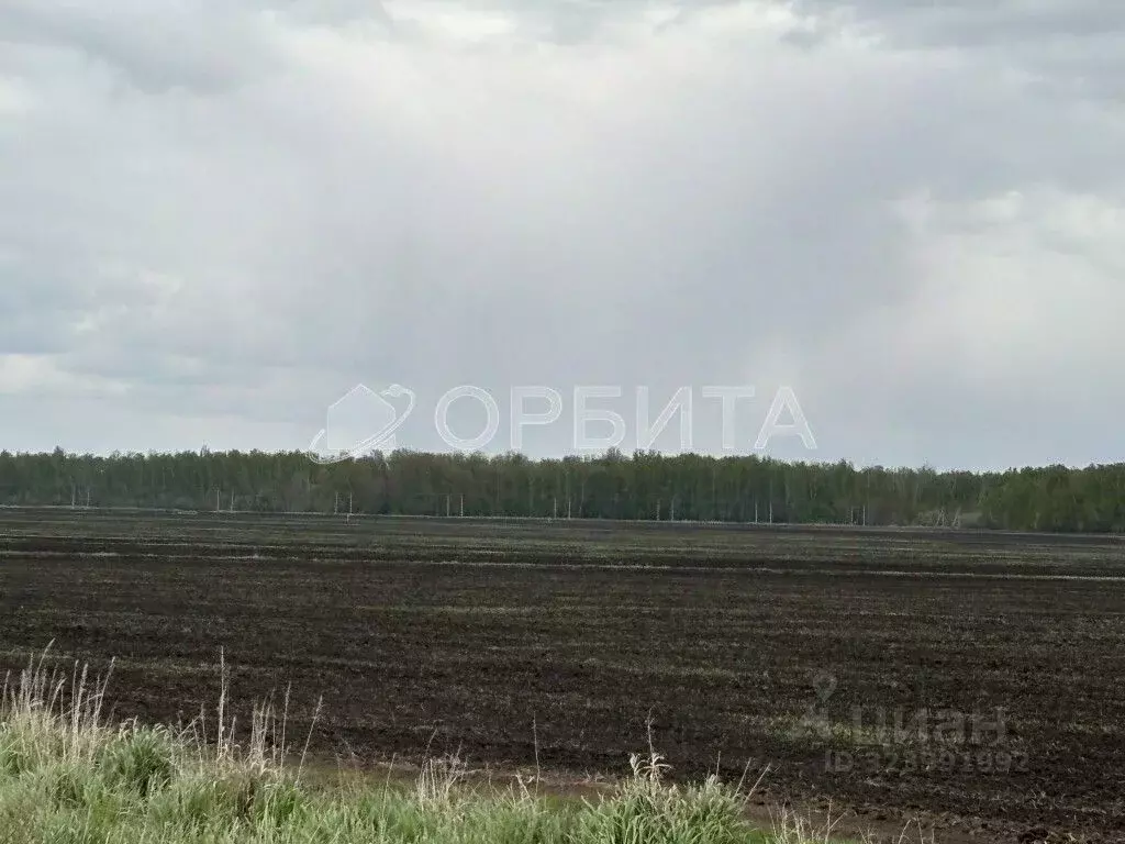 Участок в Тюменская область, Тюменский муниципальный округ, ... - Фото 1
