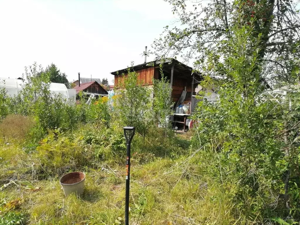 Дом в Тогучинский район, деревня Калаганово, садовое товарищество ... - Фото 0