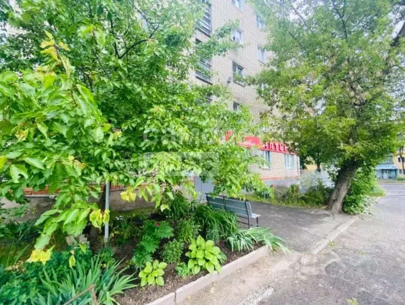 1-к кв. Курская область, Курск Сумская ул., 37Бк1 (23.4 м) - Фото 1