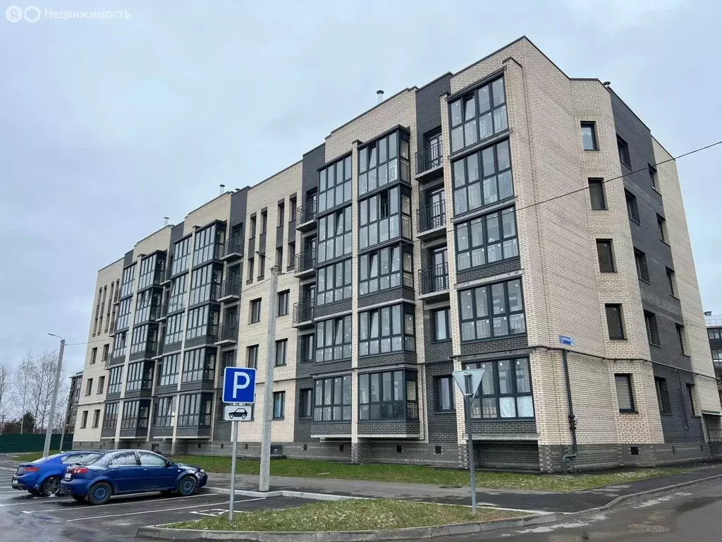 1-комнатная квартира: посёлок Красный Бор, Большая Заозёрная улица, 45 ... - Фото 1