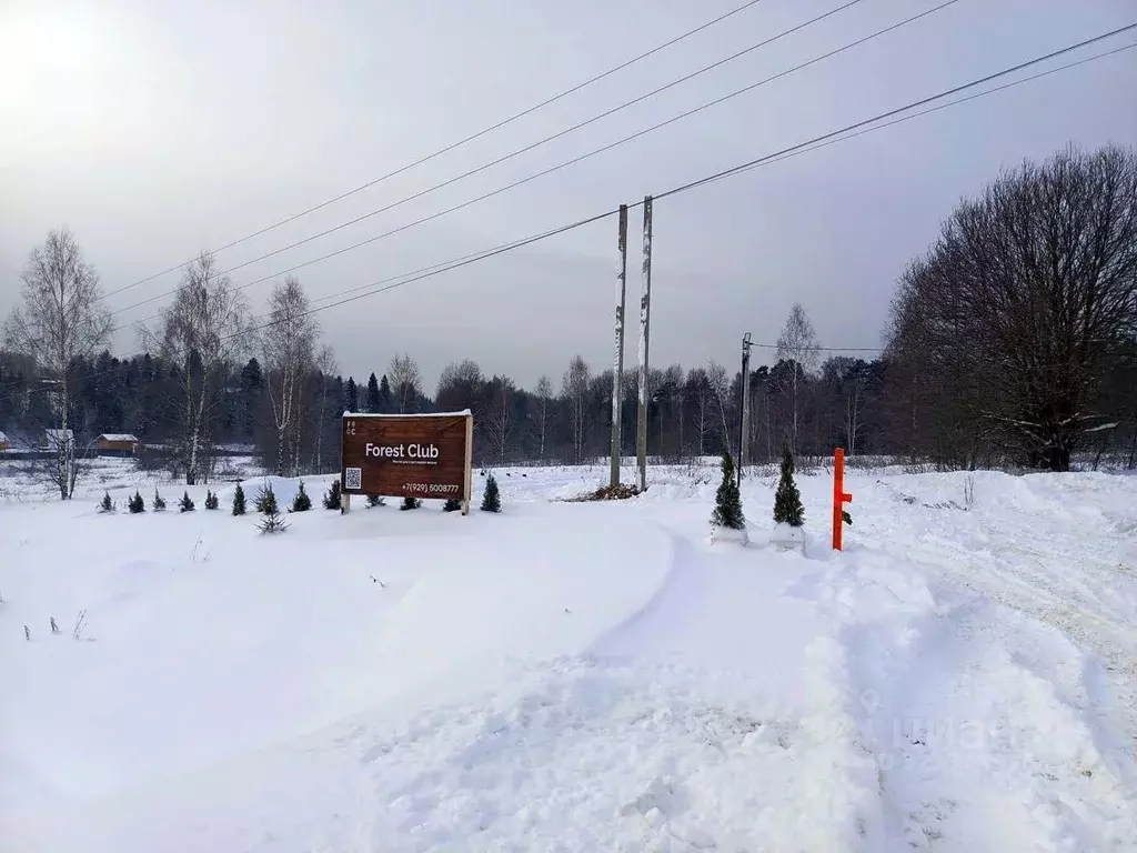 Участок в Московская область, Дмитровский муниципальный округ, Форест ... - Фото 1