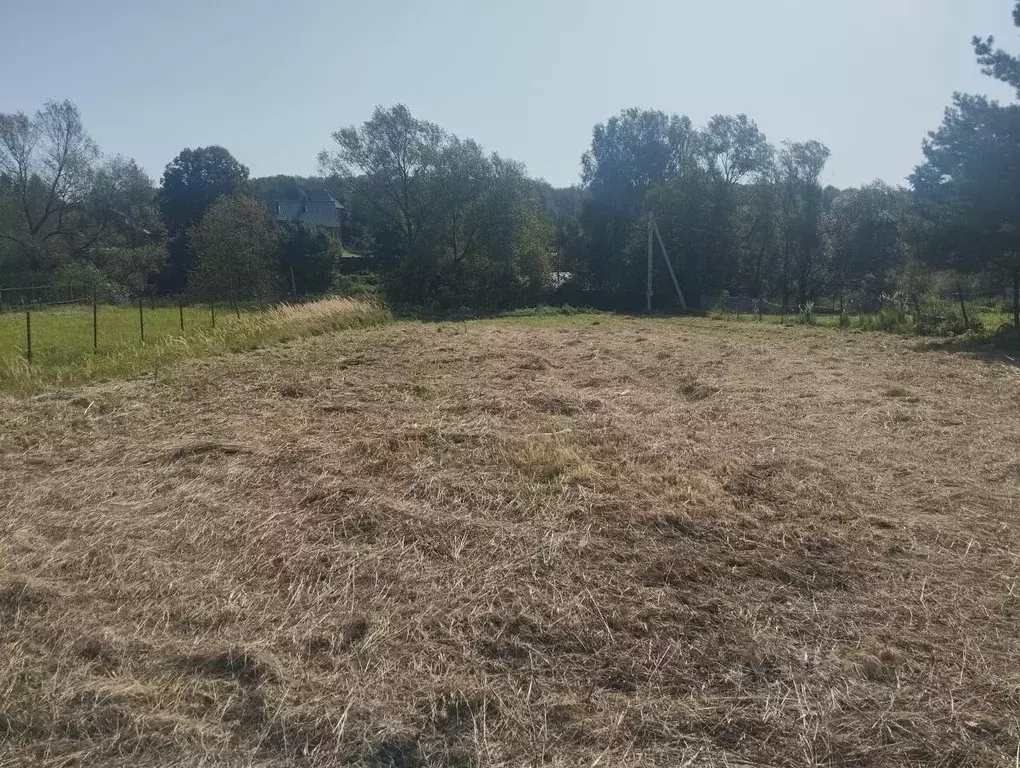 Участок в Москва д. Косовка, 25А (10.0 сот.) - Фото 1