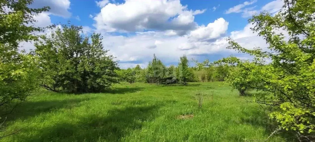 Участок в Воронежская область, Рамонский район, Русскогвоздевское ... - Фото 0