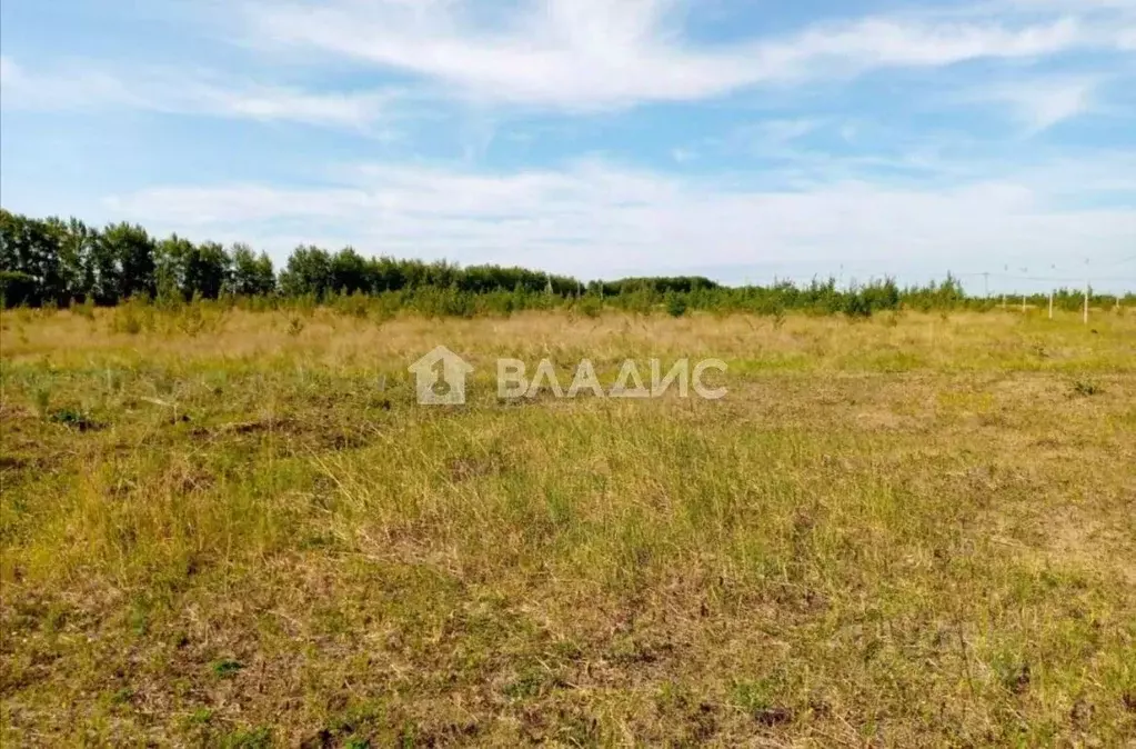 Участок в Татарстан, Нижнекамский район, Сухаревское с/пос, с. Болгар  ... - Фото 2