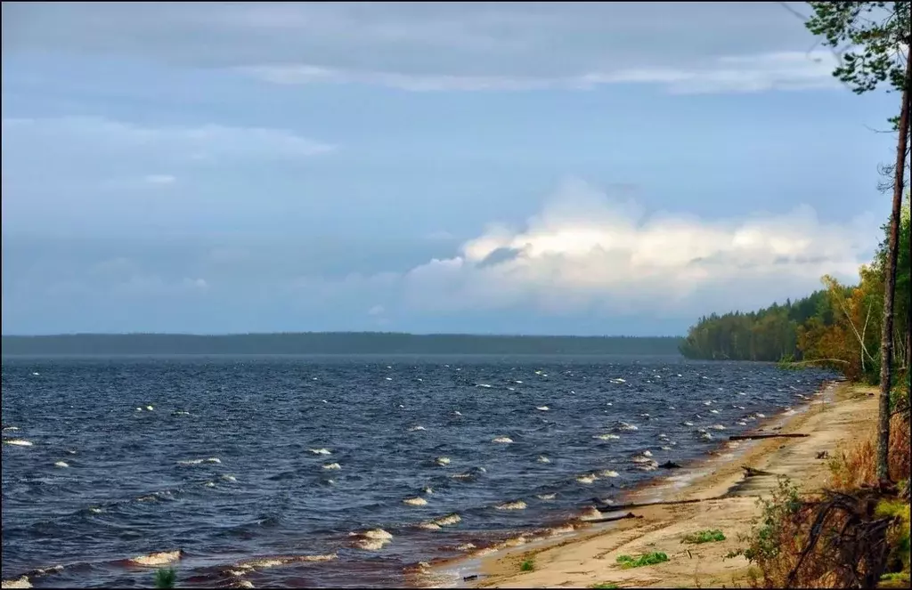 Участок в Карелия, Кондопожский район, Гирвасское с/пос, д. ... - Фото 1