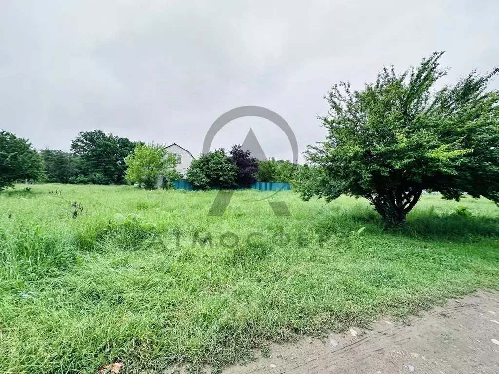 Участок в Краснодарский край, Хадыженск Апшеронский район, Виноградная ... - Фото 1