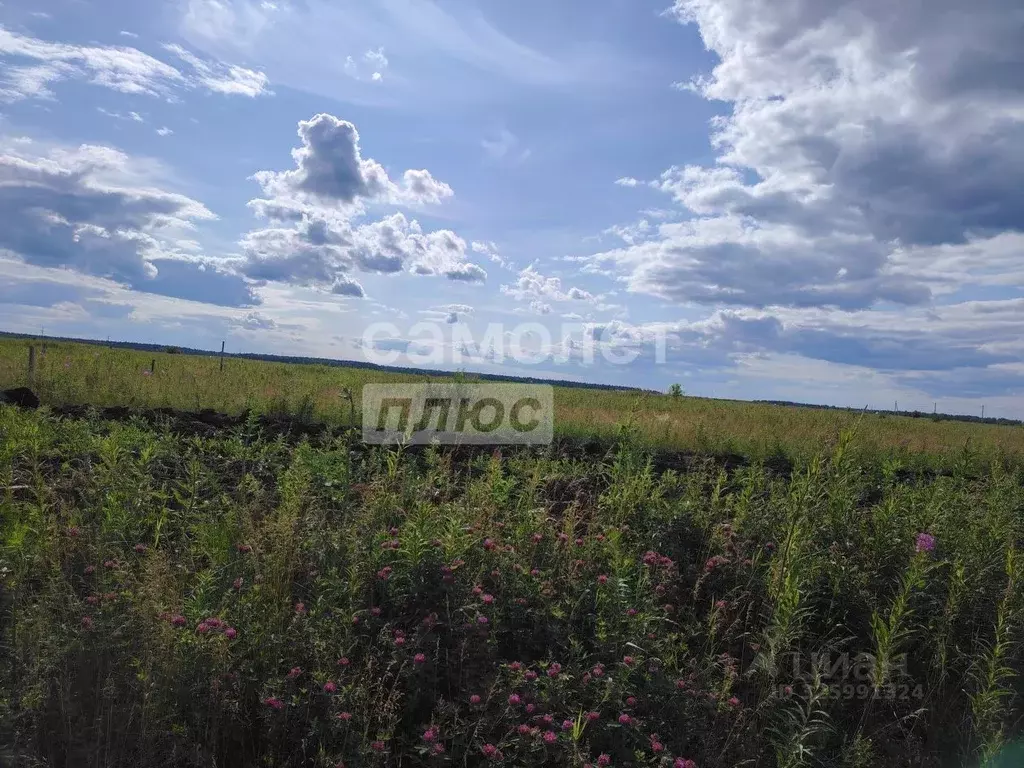 Участок в Тюменская область, Тюменский муниципальный округ, ... - Фото 1