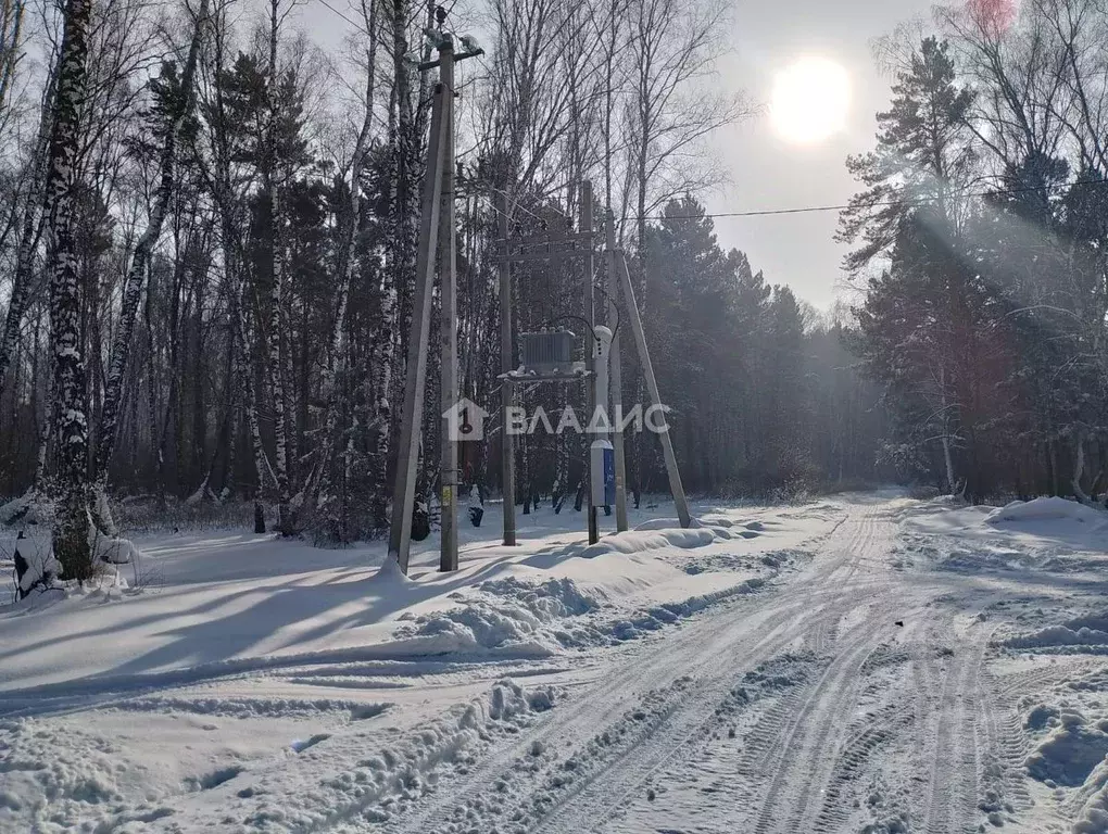 Участок в Кемеровская область, Кемеровский муниципальный округ, с. ... - Фото 1