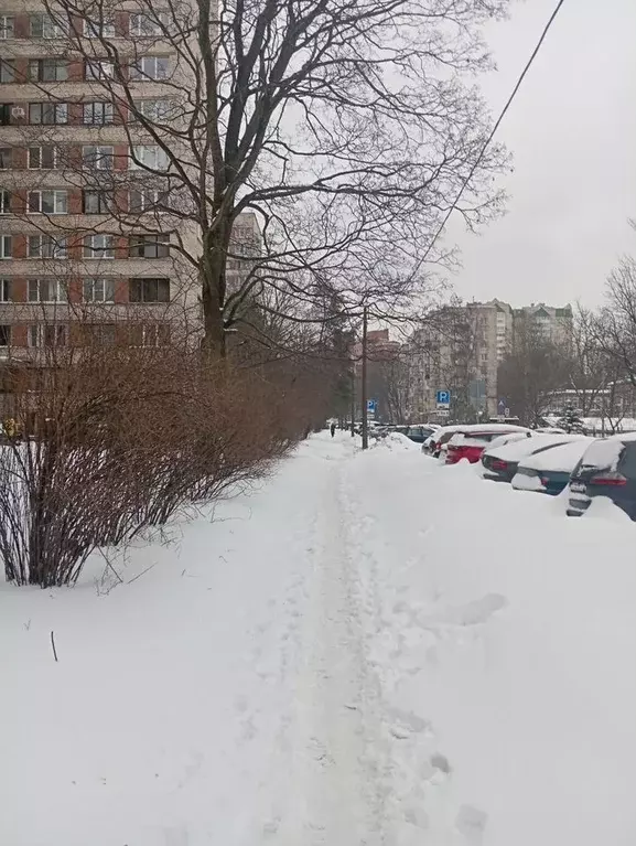 3-к кв. Санкт-Петербург Гаврская ул., 6 (73.0 м) - Фото 2