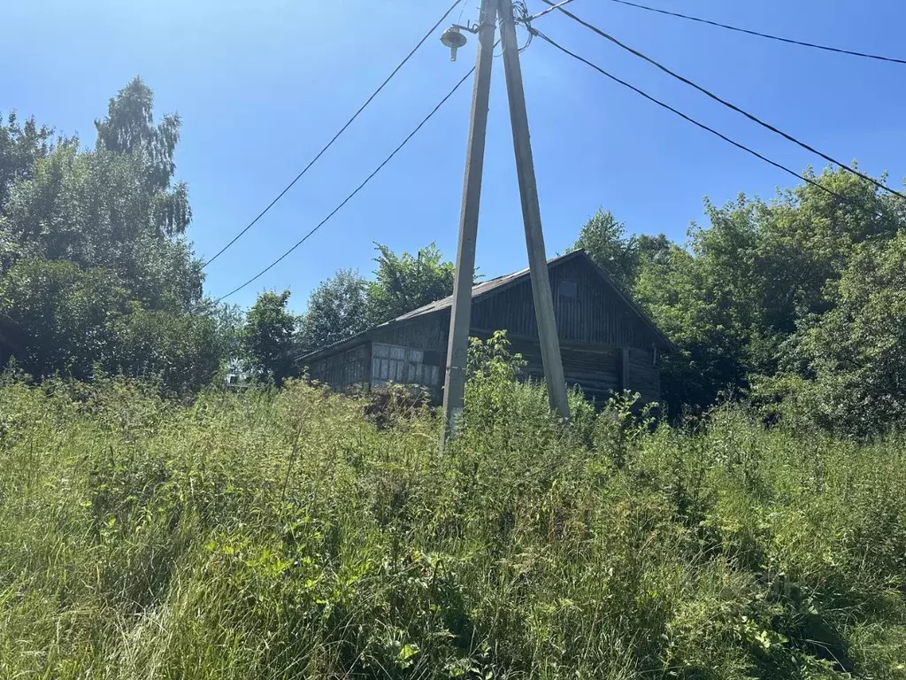 Участок в Московская область, Кашира городской округ, пос. Большое ... - Фото 0