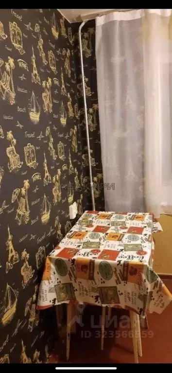 1-к кв. Красноярский край, Красноярск ул. Академгородок, 5 (30.0 м) - Фото 2