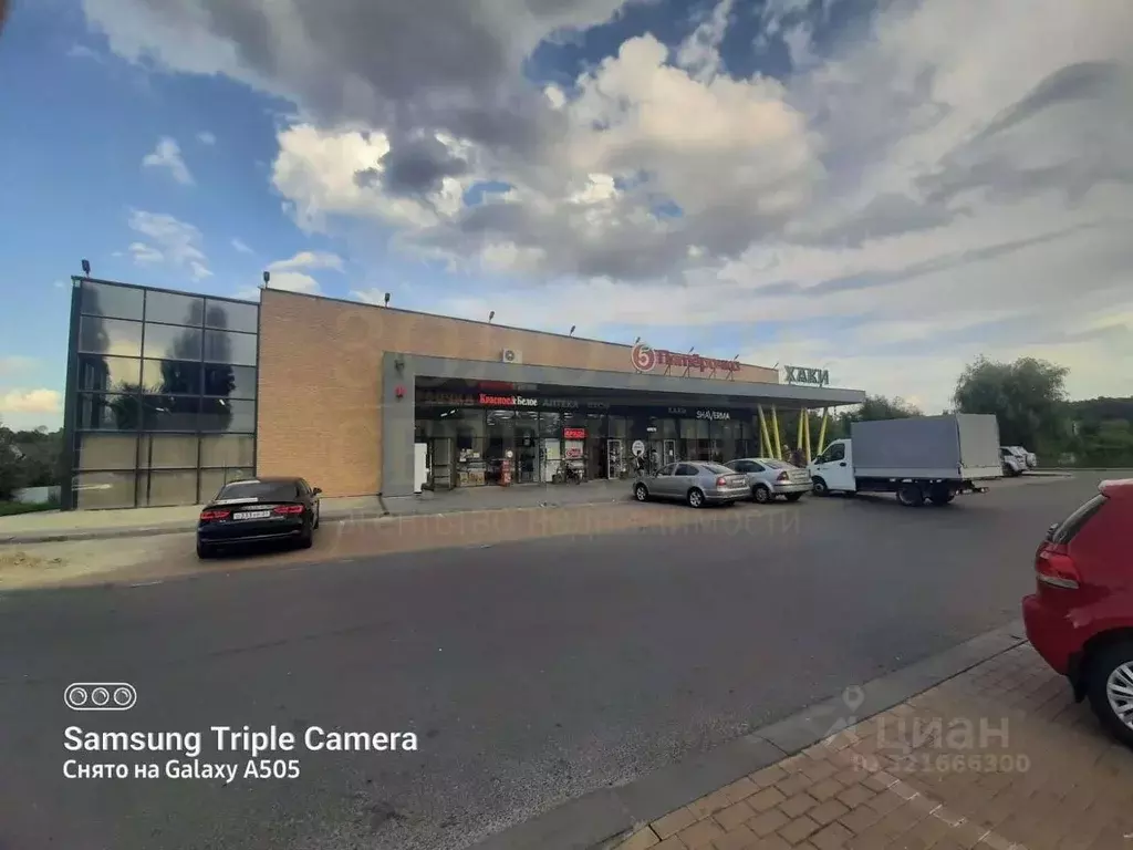 Торговая площадь в Белгородская область, Белгород ул. Сосновка, 7Б (20 ... - Фото 2